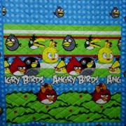 ck-107-couverli-angry-birds